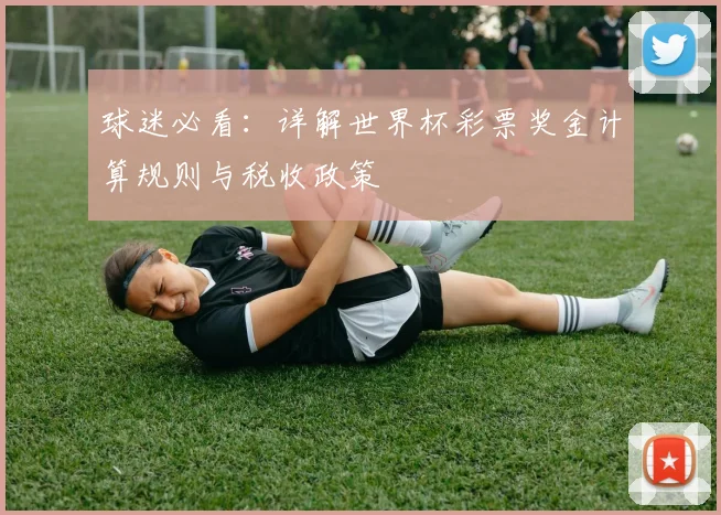 球迷必看：详解世界杯彩票奖金计算规则与税收政策